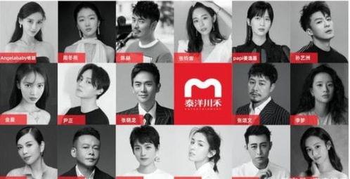 娱乐吃瓜酱等风来,跟随风潮，揭秘娱乐圈幕后故事