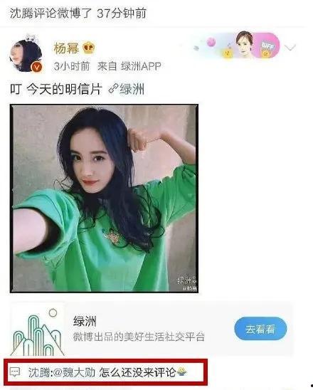娱乐圈吃瓜网站,明星幕后真相大曝光！