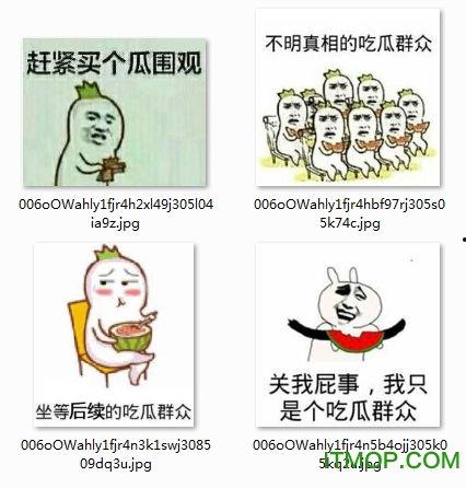 娱乐吃瓜表情包图片,笑翻你的表情包盛宴