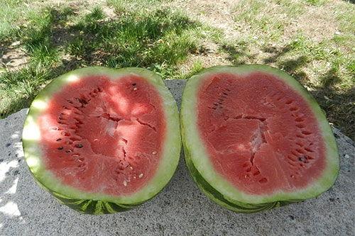 娱乐圈吃瓜买西瓜,娱乐圈瓜田乐享西瓜时光